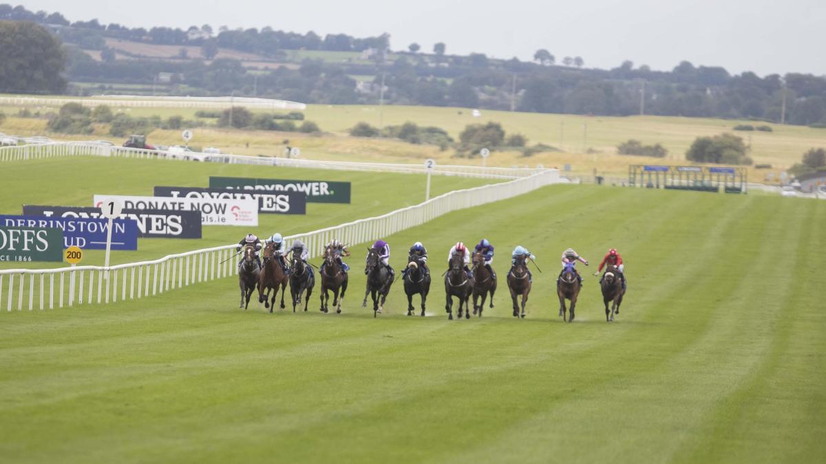 The Curragh racecourse 